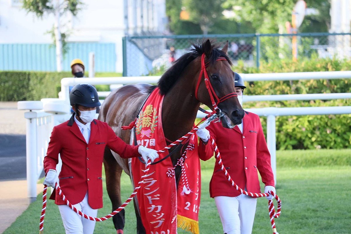 🏇 삿포로 경마장 이미지 11